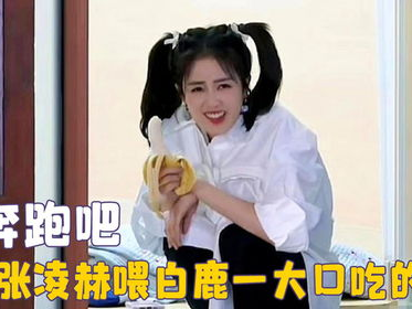 静音中的秘密：白鹿无声透露惊人内幕