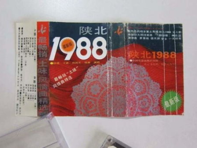 田震全网征集2001年珍贵票根，寻找那段难忘的音乐时光