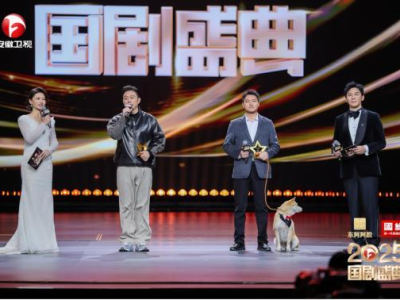 2025国剧盛典：年度影视盛宴，荣耀揭晓影视巅峰之作